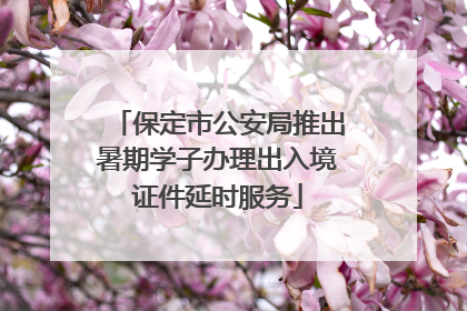 保定市公安局推出暑期学子办理出入境证件延时服务