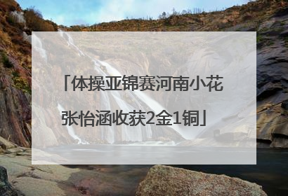体操亚锦赛河南小花张怡涵收获2金1铜