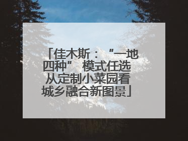 佳木斯：“一地四种” 模式任选 从定制小菜园看城乡融合新图景