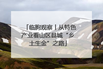 临朐观察丨从特色产业看山区县城“乡土生金”之路