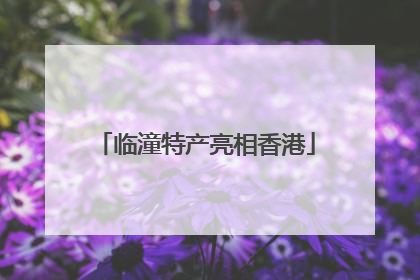 临潼特产亮相香港