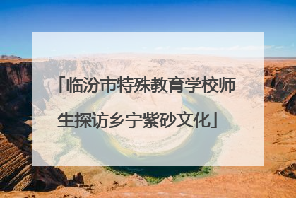 临汾市特殊教育学校师生探访乡宁紫砂文化