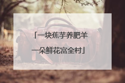 一块蕉芋养肥羊 一朵鲜花富全村