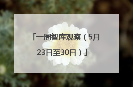一周智库观察（5月23日至30日）