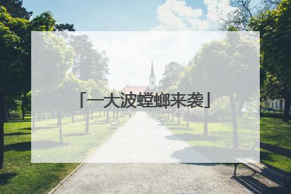 一大波螳螂来袭