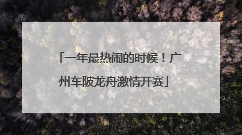 一年最热闹的时候！广州车陂龙舟激情开赛