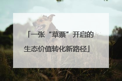 一张“草票”开启的生态价值转化新路径