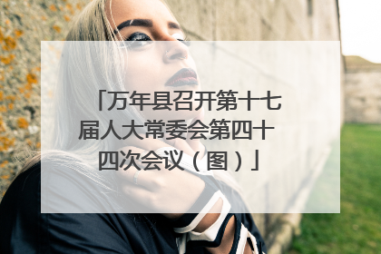 万年县召开第十七届人大常委会第四十四次会议（图）