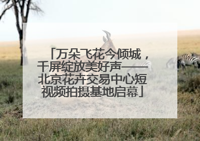 万朵飞花今倾城，千屏绽放美好声——北京花卉交易中心短视频拍摄基地启幕