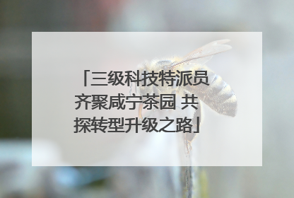 三级科技特派员齐聚咸宁茶园 共探转型升级之路