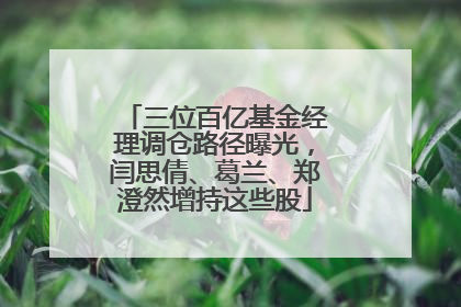 三位百亿基金经理调仓路径曝光，闫思倩、葛兰、郑澄然增持这些股