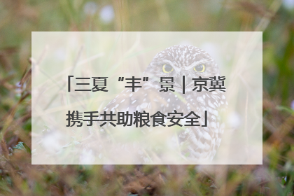 三夏“丰”景｜京冀携手共助粮食安全