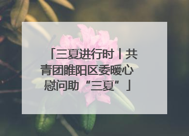 三夏进行时丨共青团睢阳区委暖心慰问助“三夏”