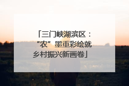 三门峡湖滨区：“农”墨重彩绘就乡村振兴新画卷