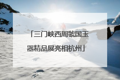 三门峡西周虢国玉器精品展亮相杭州