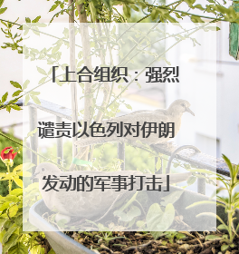上合组织：强烈谴责以色列对伊朗发动的军事打击