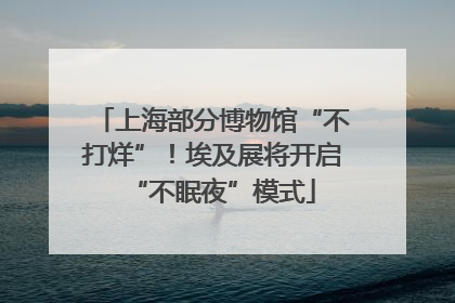 上海部分博物馆“不打烊”！埃及展将开启“不眠夜”模式