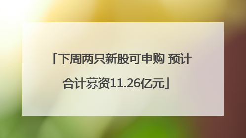 下周两只新股可申购 预计合计募资11.26亿元