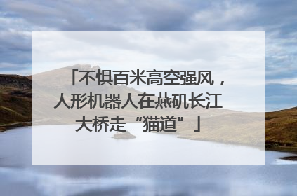 不惧百米高空强风，人形机器人在燕矶长江大桥走“猫道”