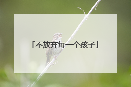 不放弃每一个孩子