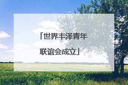 世界丰泽青年联谊会成立