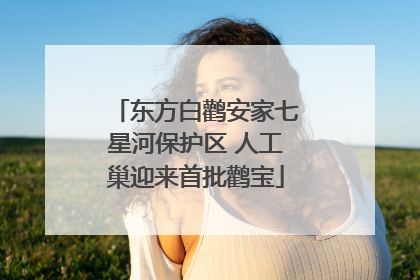 东方白鹳安家七星河保护区 人工巢迎来首批鹳宝