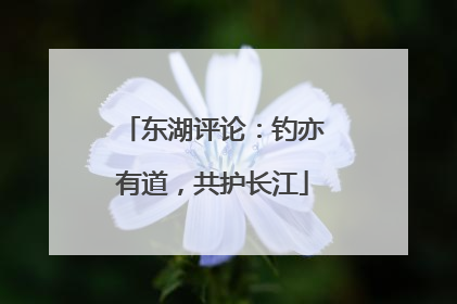 东湖评论：钓亦有道，共护长江