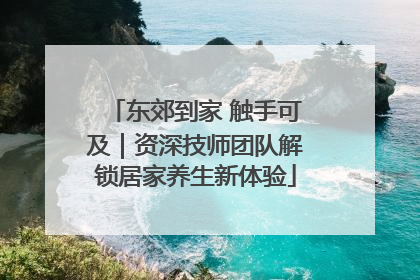 东郊到家 触手可及｜资深技师团队解锁居家养生新体验