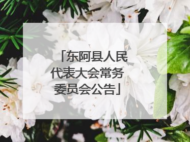 东阿县人民代表大会常务委员会公告