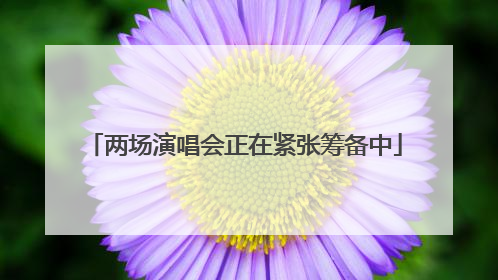 两场演唱会正在紧张筹备中