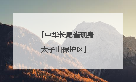 中华长尾雀现身太子山保护区