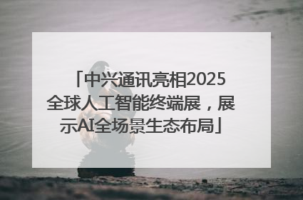 中兴通讯亮相2025全球人工智能终端展，展示AI全场景生态布局