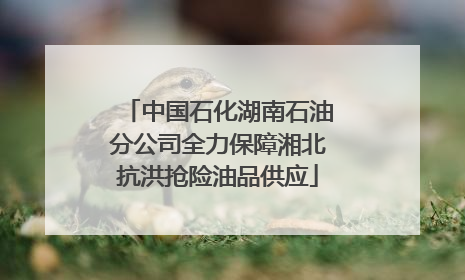 中国石化湖南石油分公司全力保障湘北抗洪抢险油品供应