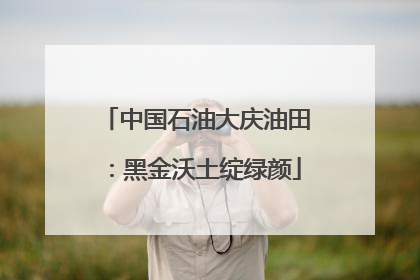 中国石油大庆油田：黑金沃土绽绿颜