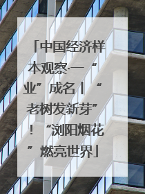 中国经济样本观察·一“业”成名丨“老树发新芽”！“浏阳烟花”燃亮世界