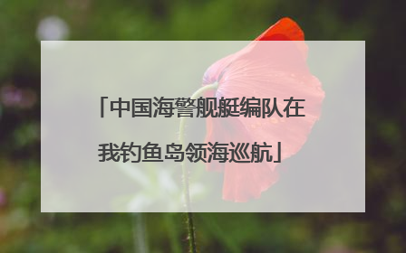 中国海警舰艇编队在我钓鱼岛领海巡航