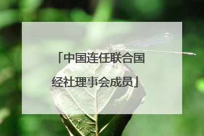 中国连任联合国经社理事会成员