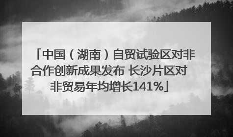 中国（湖南）自贸试验区对非合作创新成果发布 长沙片区对非贸易年均增长141%