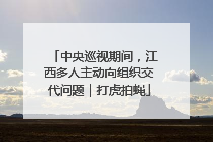 中央巡视期间，江西多人主动向组织交代问题｜打虎拍蝇