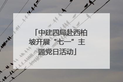 中建四局赴西柏坡开展“七一”主题党日活动