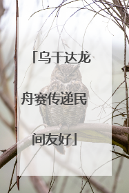 乌干达龙舟赛传递民间友好