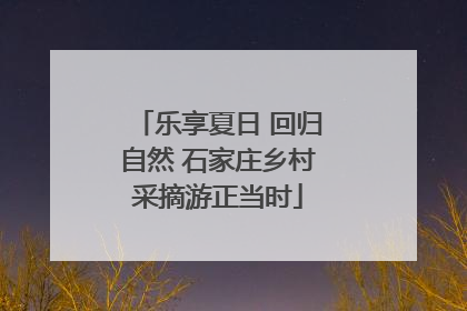 乐享夏日 回归自然 石家庄乡村采摘游正当时