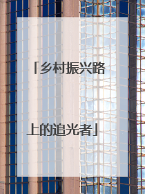 乡村振兴路上的追光者