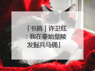 书摘｜许卫红：我在秦始皇陵发掘兵马俑