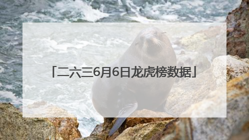 二六三6月6日龙虎榜数据