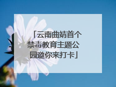 云南曲靖首个禁毒教育主题公园邀你来打卡