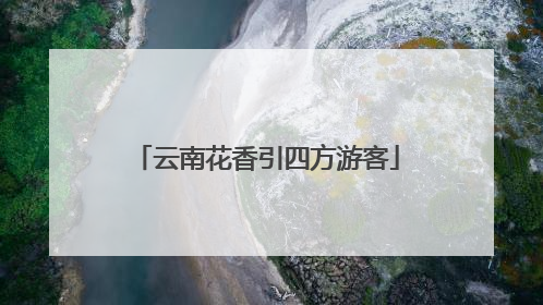 云南花香引四方游客