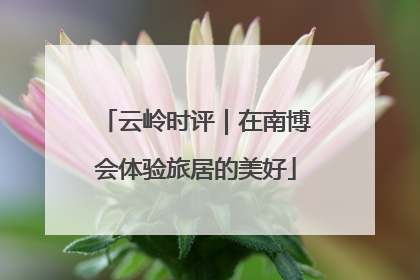 云岭时评｜在南博会体验旅居的美好