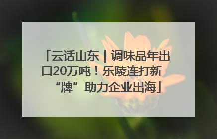云话山东｜调味品年出口20万吨！乐陵连打新“牌”助力企业出海
