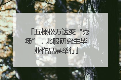 五棵松万达变“秀场”，北服研究生毕业作品展举行